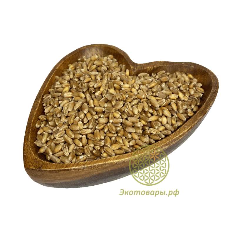 Пшеница для проращивания БИО "Шугуровская" / 5 кг