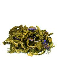 Иван-чай - полезные свойства, где купить, производители