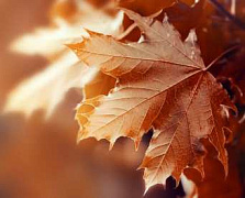 6 действий, которые помогут пережить осень от Татьяны Патрацкой.