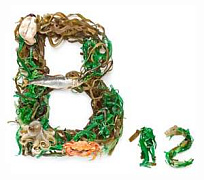 Мифы и факты: Витамин В12