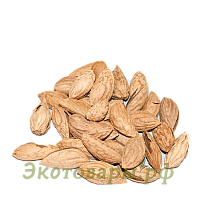 Миндаль сырой в скорлупе (Таджикистан) / 10 кг **