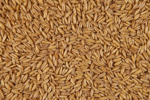 Овёс голозёрный БИО "Чёрный Хлеб" / 1 кг фото 2