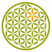 Сироп из цикория - жидкая клетчатка (пребиотик, без сахара) "Дары Памира" / 1 л